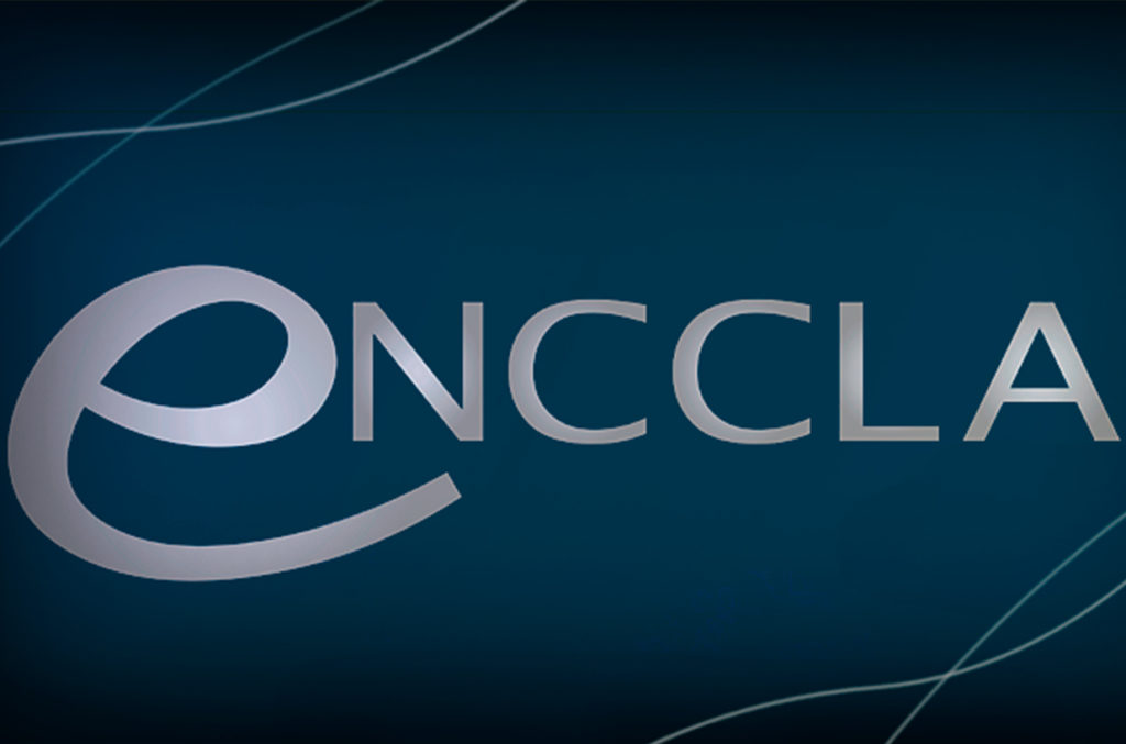 SCGE participa de GT nacional sobre combate à corrupção e à lavagem de dinheiro