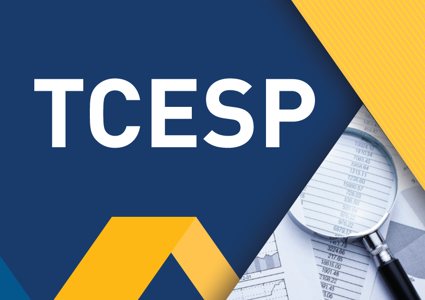 Previsão de retorno financeiro pela Tomada de Contas Especial alcança incremento de 365%